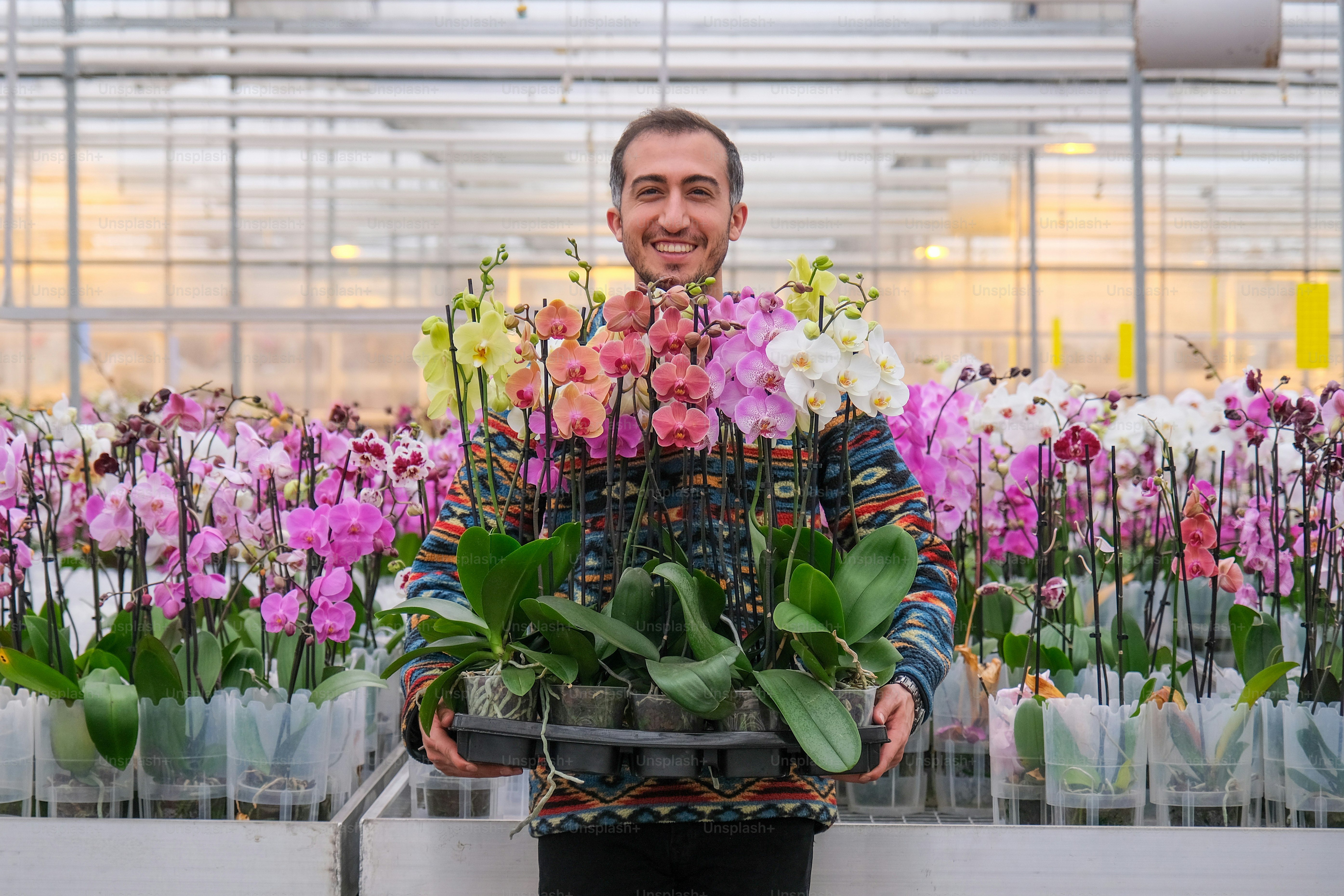 a man holding a tray of flowers in a greenhouse